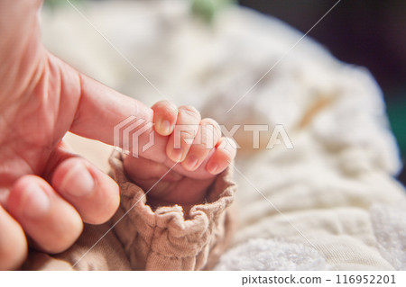 新生兒 116952201