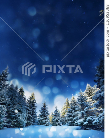 Christmas fir tree snowflake background 116952368