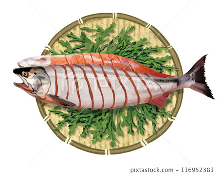 Salmon (fillet) in a colander with cypress leaves 116952381