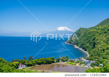 Kirameki Hill - The sea surface sparkles depending on the position of the sun. A panoramic view of the Ida area and Mt. Fuji across the deep blue Suruga Bay. 116952860