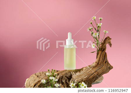 A serum glass container for natural cosmetics advertising displayed on a log, decorated with plenty tanacetum flowers, against on pink background. Front view, space for text A serum glass container for natural cosmetics advertising displayed on a log, decorated with plenty tanacetum flowers, against on pink background. Front view, space for text 116952947