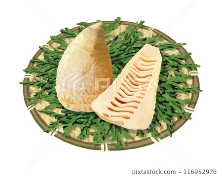 Boiled bamboo shoots (with colander and cypress leaves) Boiled bamboo shoots (with colander and cypress leaves) 116952976