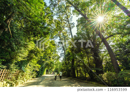 日本寒川城市景觀，相模國一宮寒川神社。美麗的綠色植物和光線... = 2020 年 7 月 21 日 116953599