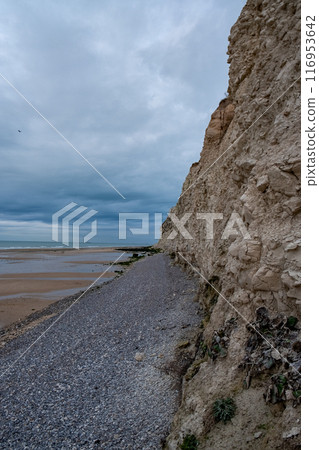 The coastal cliff provides a stunning view with dramatic cloudy skies in the background The coastal cliff provides a stunning view with dramatic cloudy skies in the background 116953642
