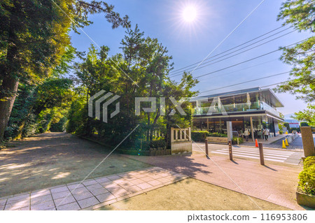 日本寒川城市景觀，相模國一宮寒川神社。 Chinju no Mori Koyo Red View…=2020年7月21日 116953806