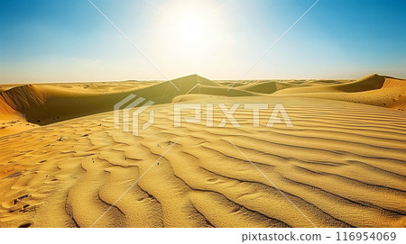 Calm and vast expanse of a desert 116954069