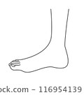 Simple line drawing of a foot 116954139