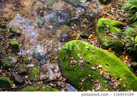 Autumn creek flowing through large rock 116954194