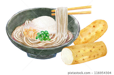 Tororo 蕎麥麵，磨碎的紅薯，水彩插圖 116954304