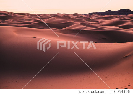 撒哈拉沙漠一望無際的沙丘 116954306