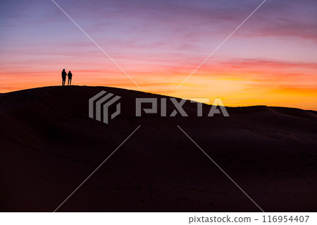Silhouette of a couple standing on a sand dune at sunrise 116954407
