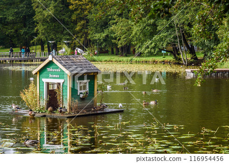 Pond in Local city park in Zelenogradsk. Russia Pond in Local city park in Zelenogradsk. Russia 116954456