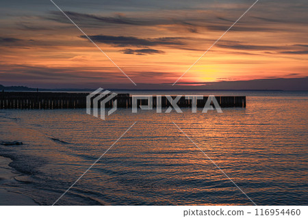 View of sand beach with wooden breakwaters on the Baltic Sea coast on sunset in Zelenogradsk. Russia 116954460