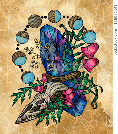 Vintage illustration with mystic mushrooms, magic and floral decorative elements, witchcraft symbols against textured background. Esoteric and witchy concept, hand drawn colorful poster or card 116955141