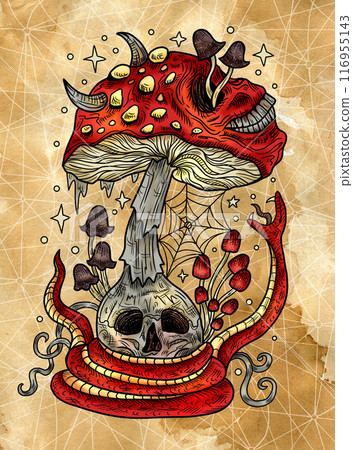 Vintage illustration with mystic mushrooms, magic and floral decorative elements, witchcraft symbols against textured background. Esoteric and witchy concept, hand drawn colorful poster or card 116955143
