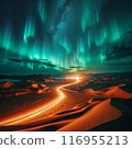 Night view of the aurora 116955213