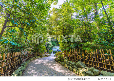 日本寒川城市景觀,相模國一宮寒川神社。大量綠色 = 2020 年 7 月 21 日 日本寒川城市景觀,相模國一宮寒川神社。大量綠色 = 2020 年 7 月 21 日 116955324