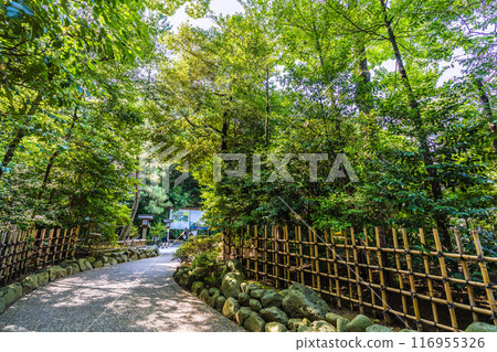 日本寒川城市景觀，相模國一宮寒川神社。大量綠色 = 2020 年 7 月 21 日 116955326