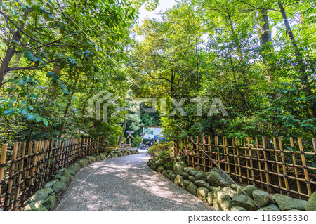 日本寒川城市景觀，相模國一宮寒川神社。大量綠色 = 2020 年 7 月 21 日 116955330