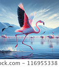 Flamingo taking off 116955338