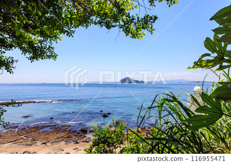 Kamishima Island seen from the Irago Cape Promenade, Tahara City, Aichi Prefecture 116955471