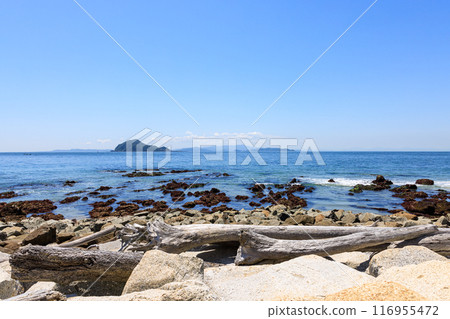 從愛知縣田原市伊良湖岬散步道眺望神島 從愛知縣田原市伊良湖岬散步道眺望神島 116955472