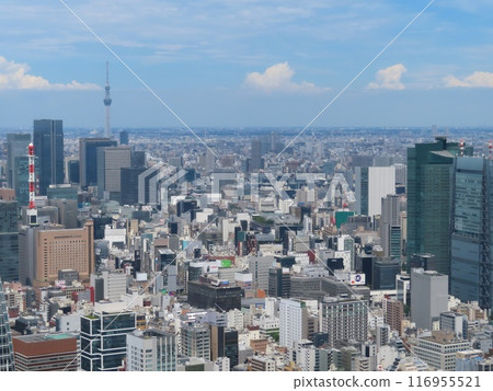 旅遊名稱：從東京塔樓頂層甲板看到的風景 116955521