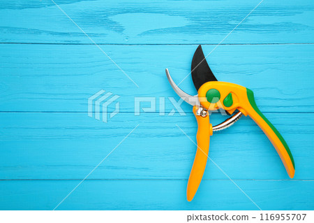 New yellow gardening secateurs on a blue wooden background. 116955707