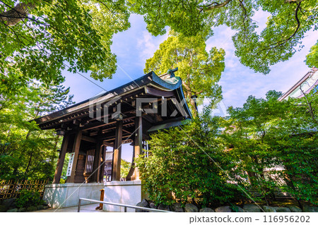 日本寒川城市景觀，相模國一宮寒川神社。大量綠色 = 2020 年 7 月 21 日 116956202