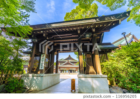 日本寒川城市景觀，相模國一宮寒川神社。大量綠色 = 2020 年 7 月 21 日 116956205