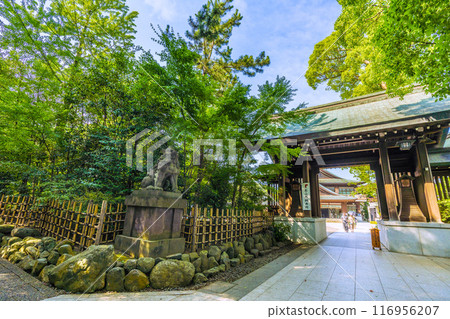日本寒川城市景觀，相模國一宮寒川神社。大量綠色 = 2020 年 7 月 21 日 116956207