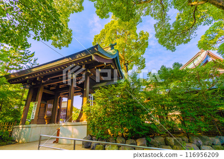 日本寒川城市景觀，相模國一宮寒川神社。大量綠色 = 2020 年 7 月 21 日 116956209