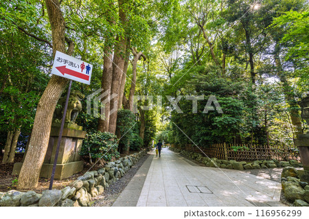 日本寒川城市景觀，相模國一宮寒川神社。有很多綠色。有很多洗手間...=2020年7月21日 116956299