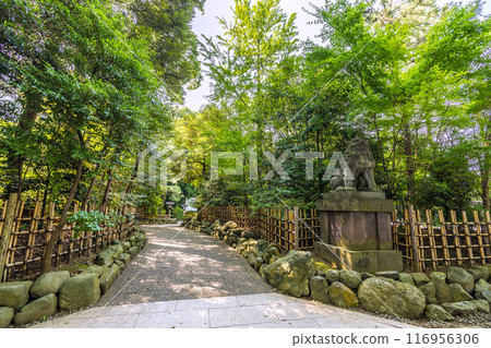 日本寒川城市景觀，相模國一宮寒川神社。大量綠色 = 2020 年 7 月 21 日 116956306