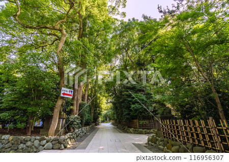 日本寒川城市景觀，相模國一宮寒川神社。大量綠色 = 2020 年 7 月 21 日 116956307