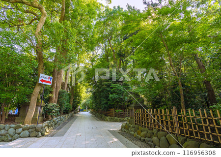 日本寒川城市景觀，相模國一宮寒川神社。大量綠色 = 2020 年 7 月 21 日 116956308