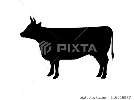 和牛牛肉剪影 和牛牛肉剪影 116956977