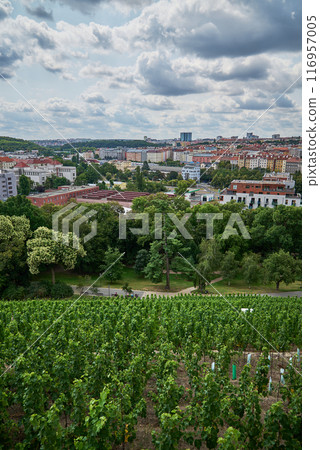 Vineyard Gazebo in Grebovka Havlickovy sady gardens in Vinohrady district in Prague, Czech Republic 116957005