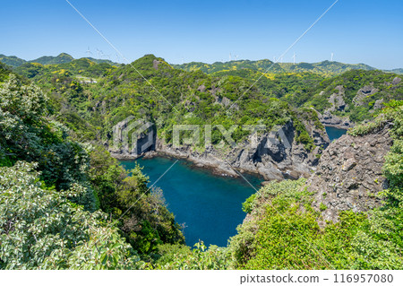 伊豆半島最南端的伊呂崎，風景優美的海角，壯麗的太平洋全景 116957080