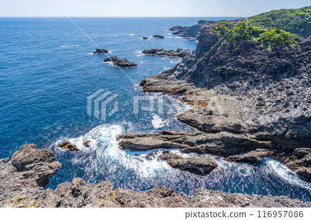 Cape Irozaki, the southernmost point of the Izu Peninsula, with a spectacular view of the Pacific Ocean Cape Irozaki, the southernmost point of the Izu Peninsula, with a spectacular view of the Pacific Ocean 116957086