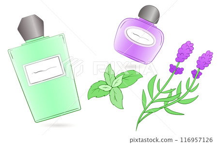草本香水圖像插圖 116957126