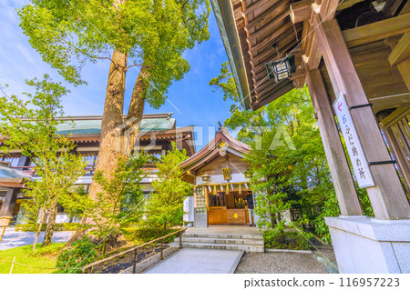 日本寒川城市景觀、相模國一宮寒川神社、Nofudaden、Ofuda Osamu。大量綠色 = 2020 年 7 月 21 日 116957223