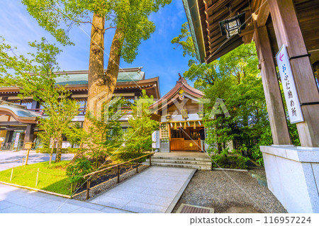 日本寒川城市景觀、相模國一宮寒川神社、Nofudaden、Ofuda Osamu。大量綠色 = 2020 年 7 月 21 日 116957224