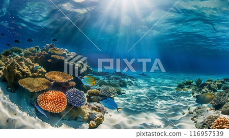 A vibrant, sunlit beach viewed from underwater, highlighting colorful coral reefs and various swimming fish. 116957539
