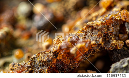 Close-up of raw bee propolis reveals its rich hues, rugged texture, and intricate natural beauty. 116957583