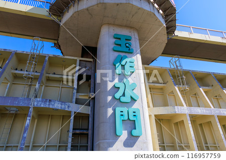 雄偉的富士山，玉作水門，還有大片蘆葦田裡盛開的油菜花。埼玉縣熊谷市荒川河床 - 2024 年 3 月 116957759