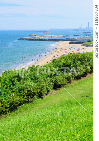 Blue sea and blue sky Kujihama Beach Blue sea and blue sky Kujihama Beach 116957834