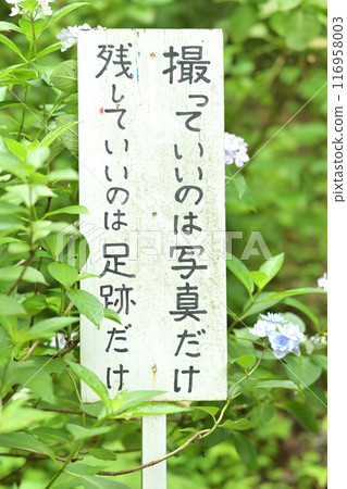 鄉村標誌 鄉村標誌 116958003