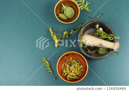Medicinal and healing herbs 116958469