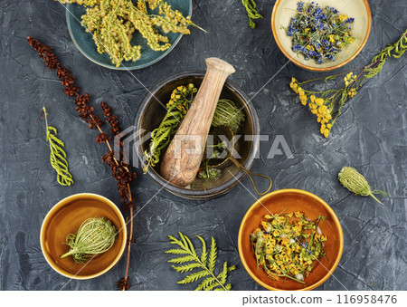 Medicinal herbs, alternative medicine. Medicinal herbs, alternative medicine. 116958476